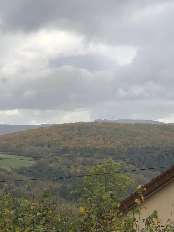 Bed and Breakfast Ferme Fleurie Bergesserin Exterior foto